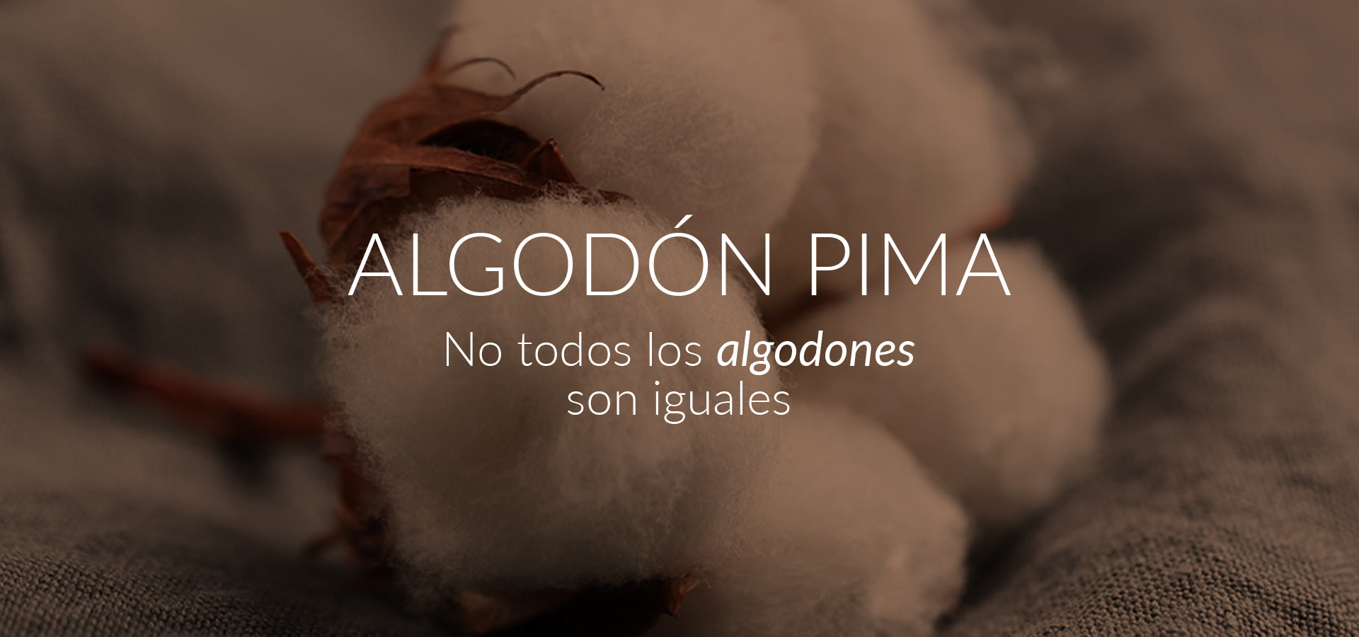 slider image slider_item_zUpzW7